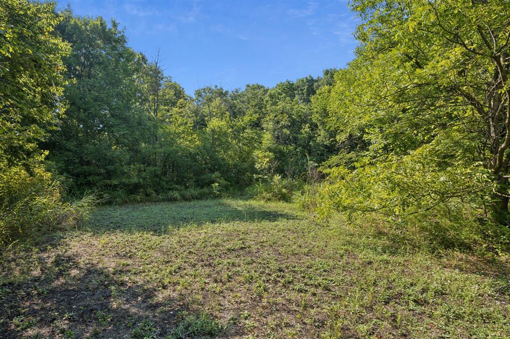 1542 County Road 339