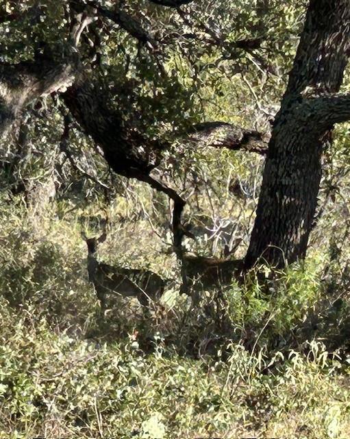 Fisher & Miller Abst 314 - Farm