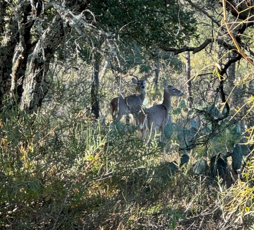 Fisher & Miller Abst 314 - Farm