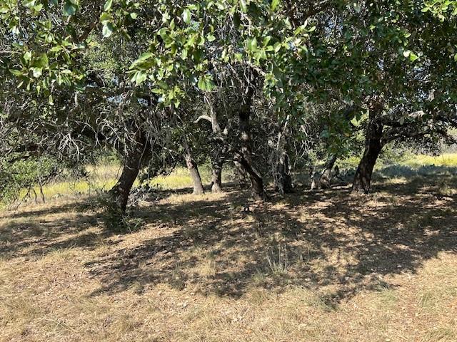 Fisher & Miller Abst 314 - Farm