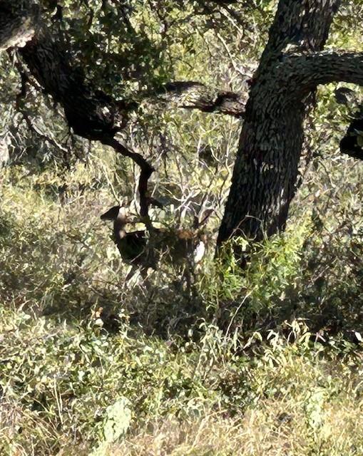 Fisher & Miller Abst 314 - Farm