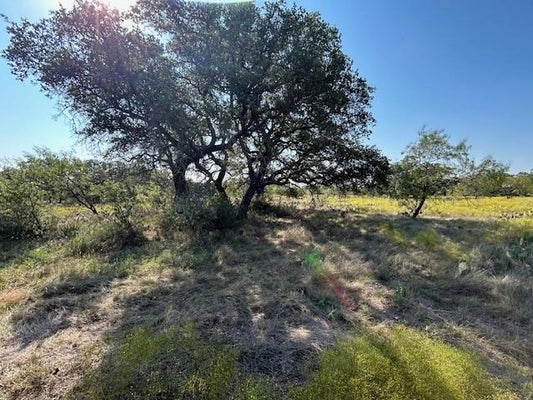 TBD CR 204, RICHLAND SPRINGS, TX 76871 - Image e2abf50dd29c2d8e6bf781dccb4ec097/77326333