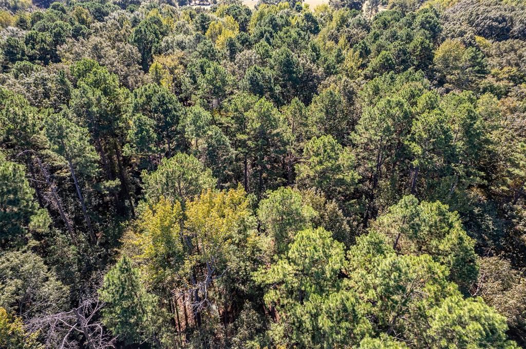 G.W. Watson - Residential