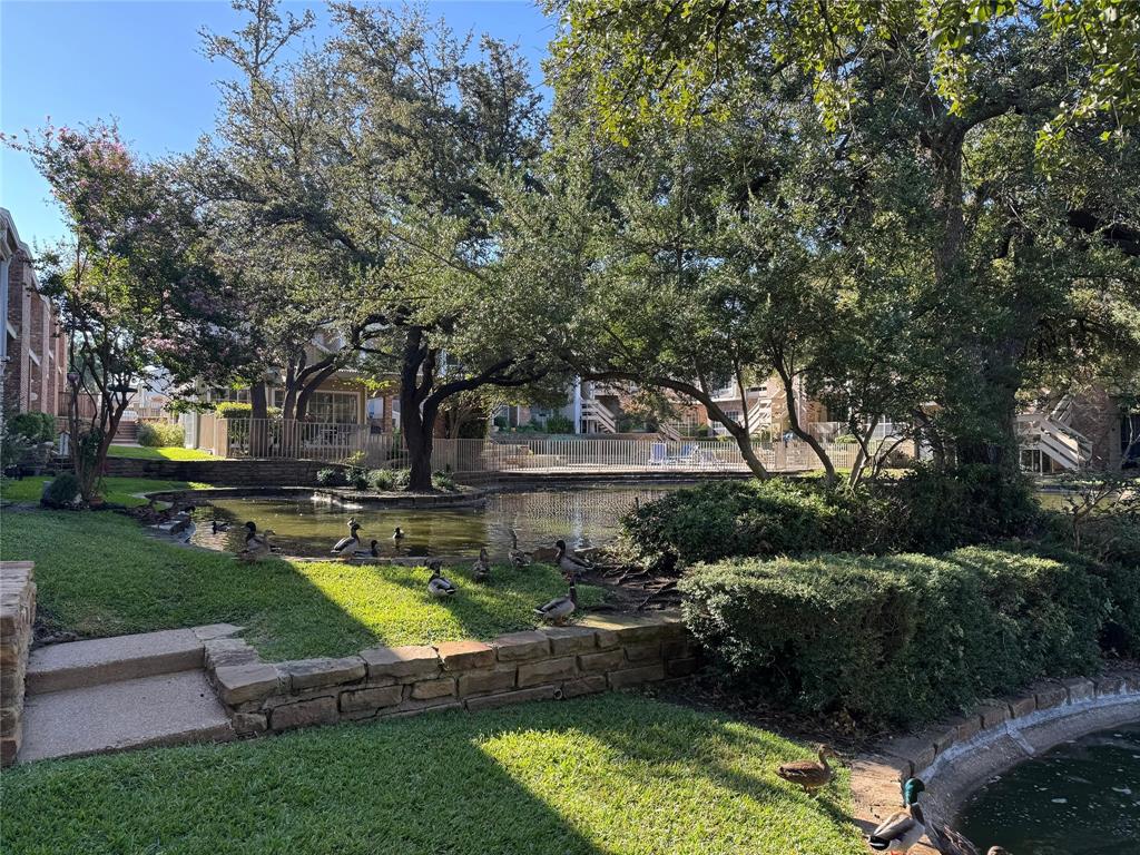 Lakeshore Condo - Residential