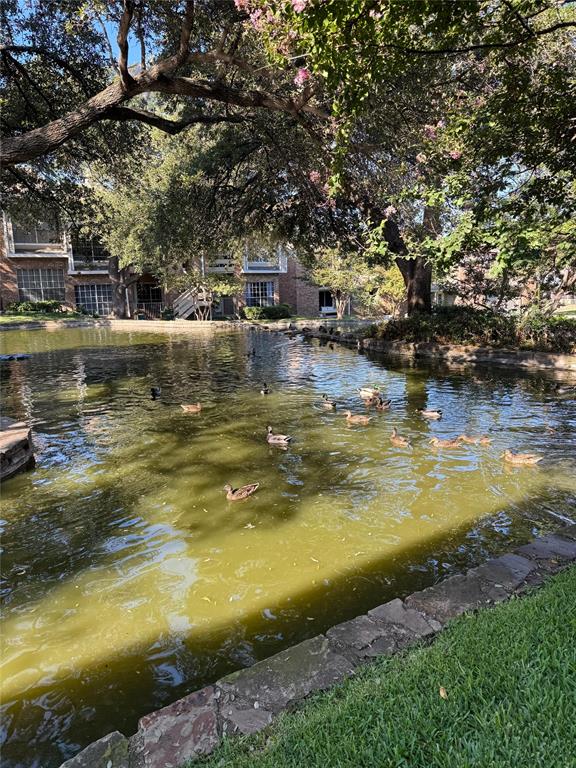 Lakeshore Condo - Residential