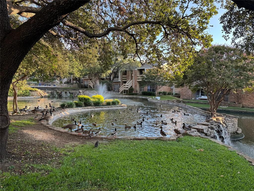 Lakeshore Condo - Residential