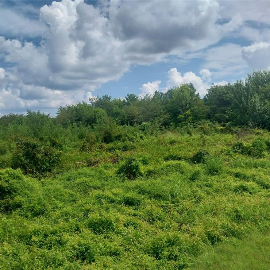 Almost 8 Acres Located in the Heart of Bossier Parrish***1 Mile from Airline Drive, and 1 Mile from the New Swanlake Rd.***Prime Acreage in a Prime Location***Perfect Spot to Build Your McMansion***Seller is Related to the Listing Broker