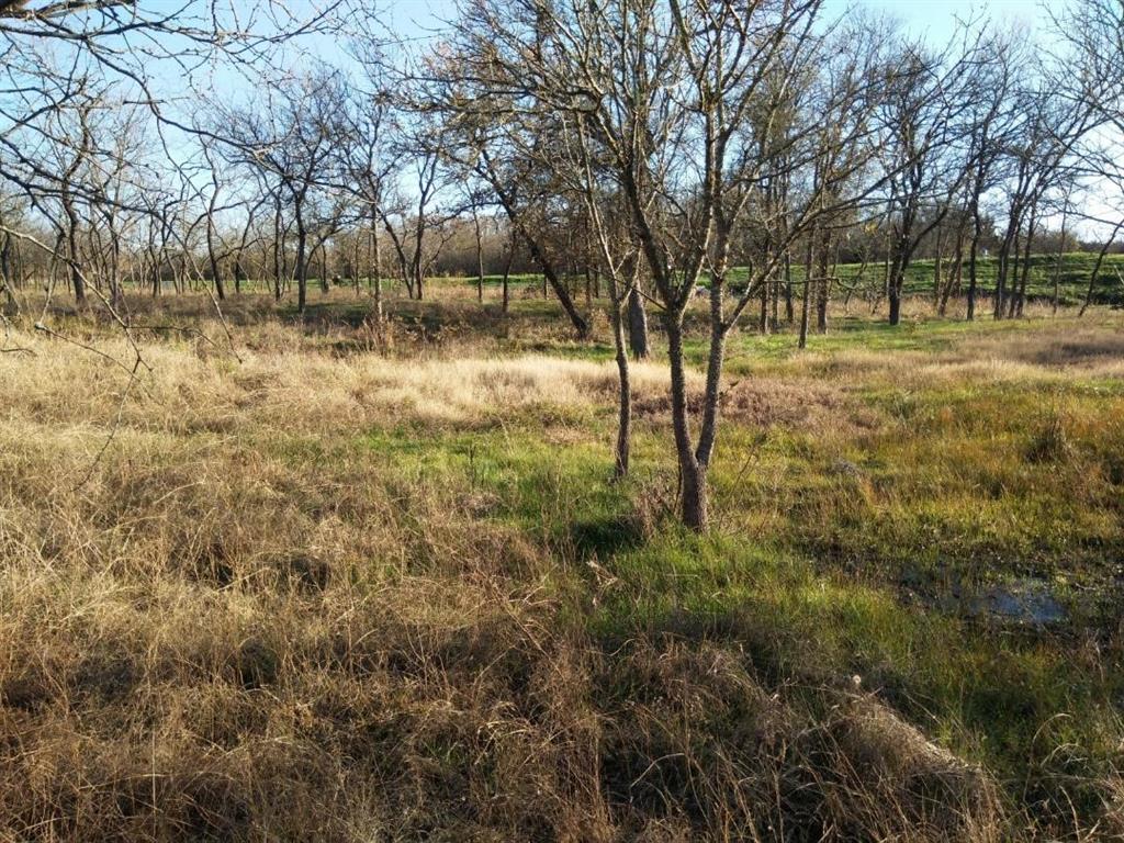 Vista Oaks Estates - Land