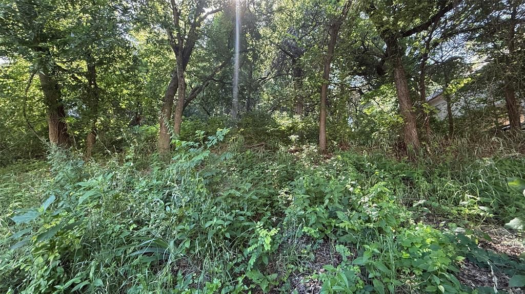 Photo of 906 Sleepy Hollow Drive, Cedar Hill, TX 75104 (MLS # 21255173)