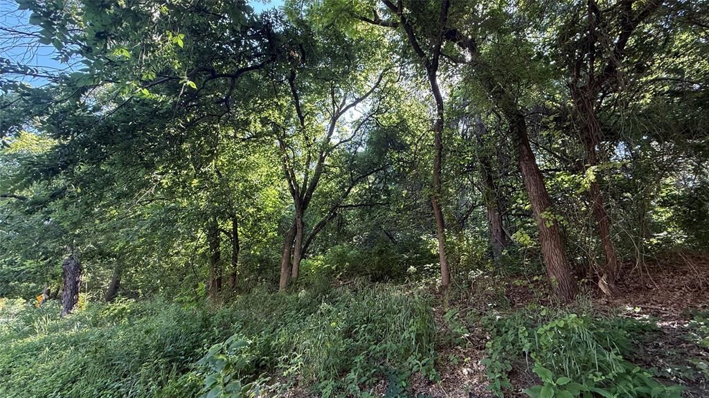 Photo of 906 Sleepy Hollow Drive, Cedar Hill, TX 75104 (MLS # 21255173)