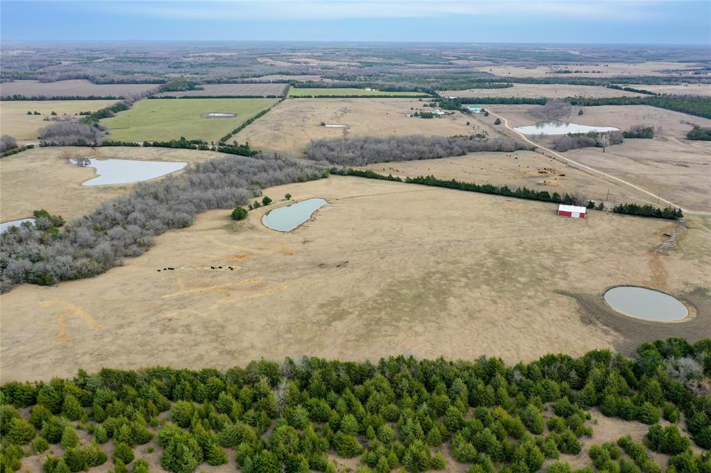 TBD FM Hwy 1743