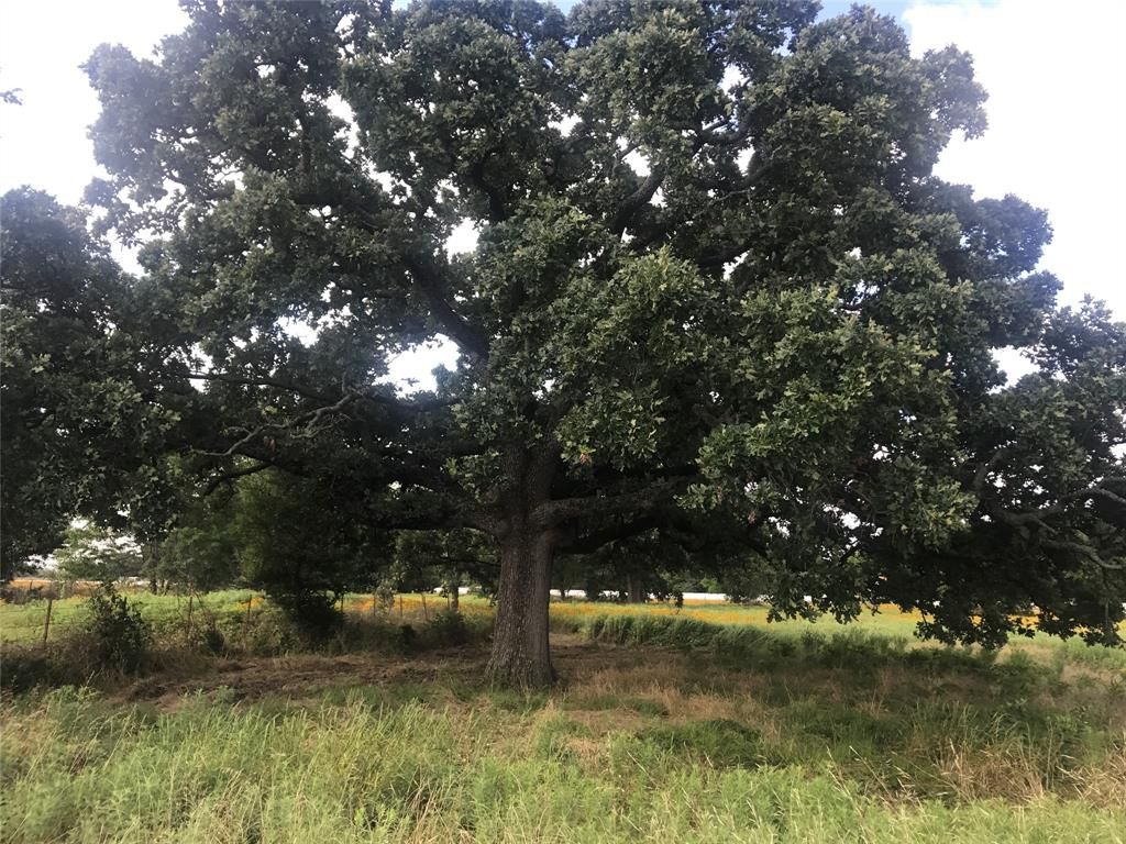 Photo of 0000 TBD I-20 Frontage, Wills Point, TX 75169 (MLS # 21215274)