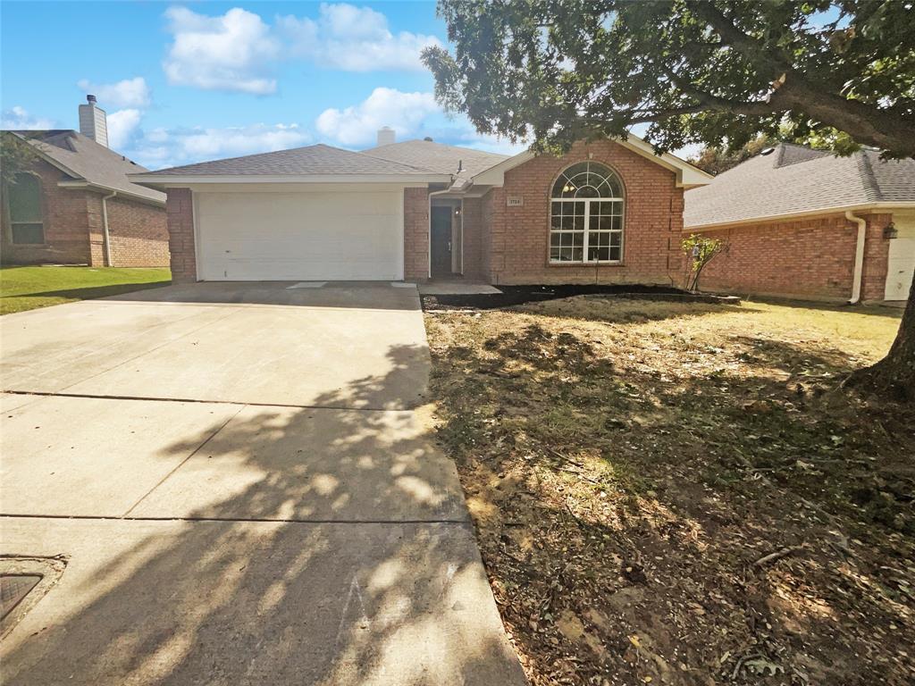 3724 Tulip Tree Drive