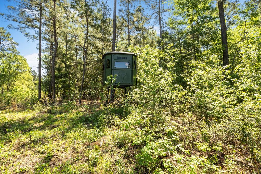 (R15_A) RURAL NEIGHBORHOOD RISD CLASS A - Farm