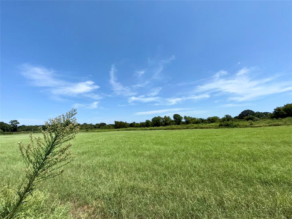 Abst 29 yr 45 W Byers - Residential