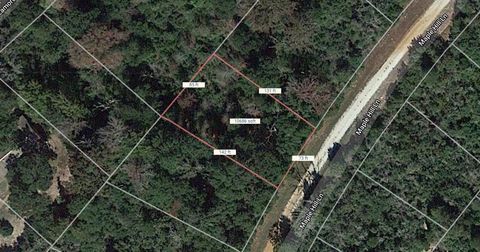 Lot 17 Maple Hill Lane Normangee TX 77871