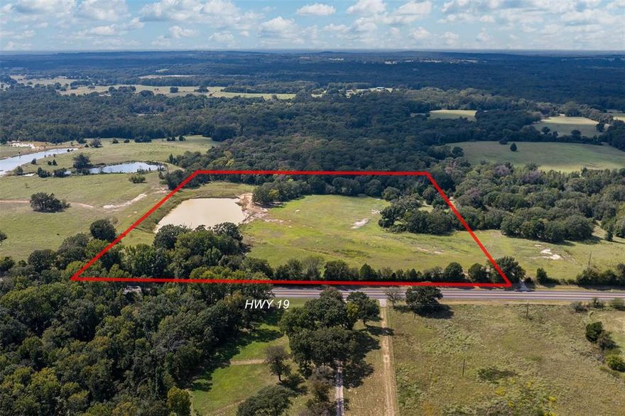 20 Acres with over 900 feet of road frontage on ST Hwy 19! Excellent opportunity with this 20-acre tract featuring frontage along State Hwy 19. The land offers a mix of open pasture and scattered trees, along with a large pond that provides both beauty and function. Property is fenced across the front and includes gate access from Hwy 19. Whether you are looking to develop or build your forever home, this property provides endless potential and the perfect setting to enjoy country living.