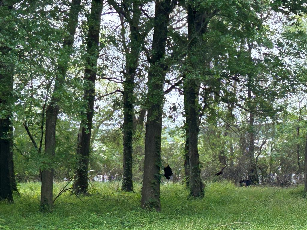 Thousand Oaks Add - Land