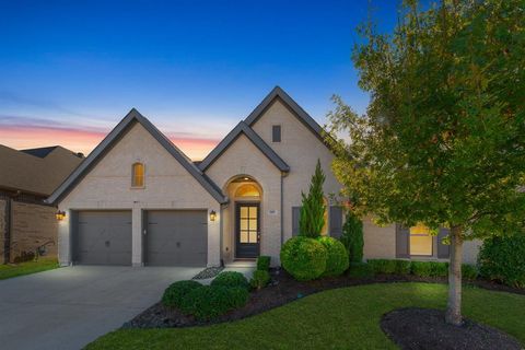 A home in Little Elm