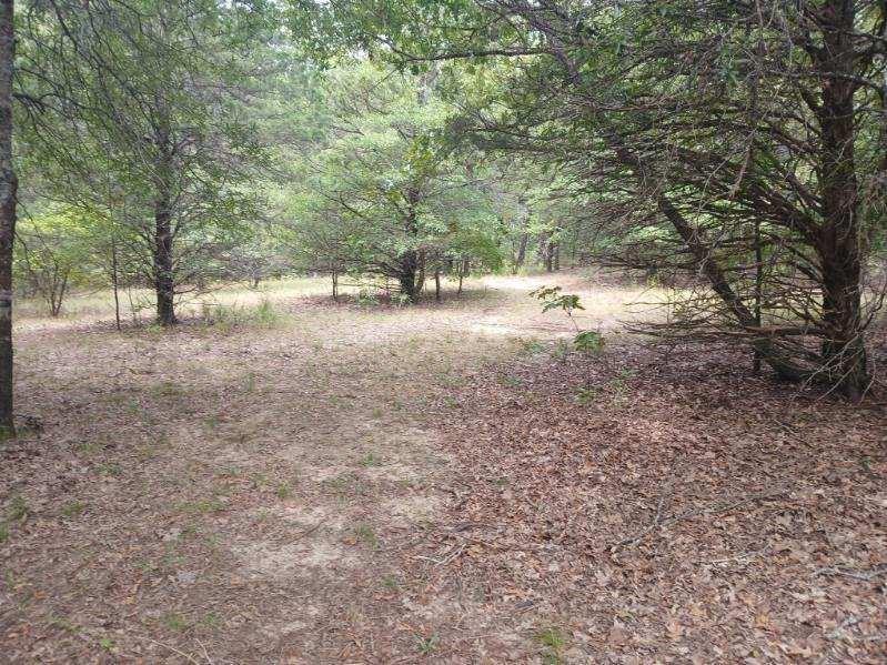 L J Crook Surv A-185 - Land