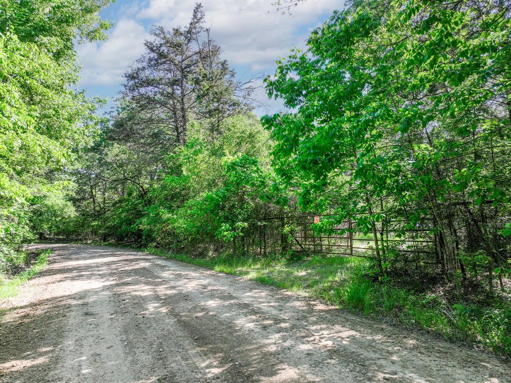 TBD County Road 4700