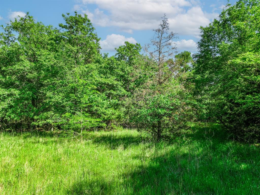 L J Crook Surv A-185 - Land