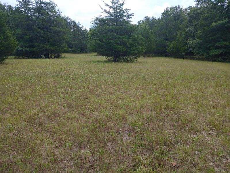 L J Crook Surv A-185 - Land