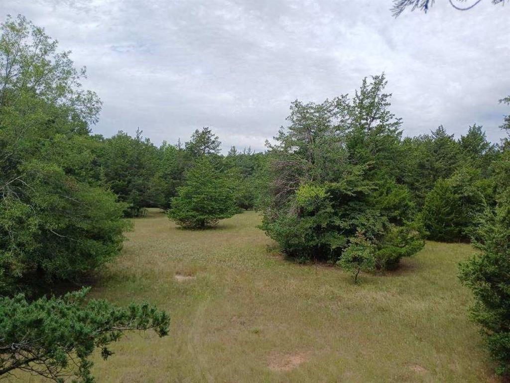 L J Crook Surv A-185 - Land