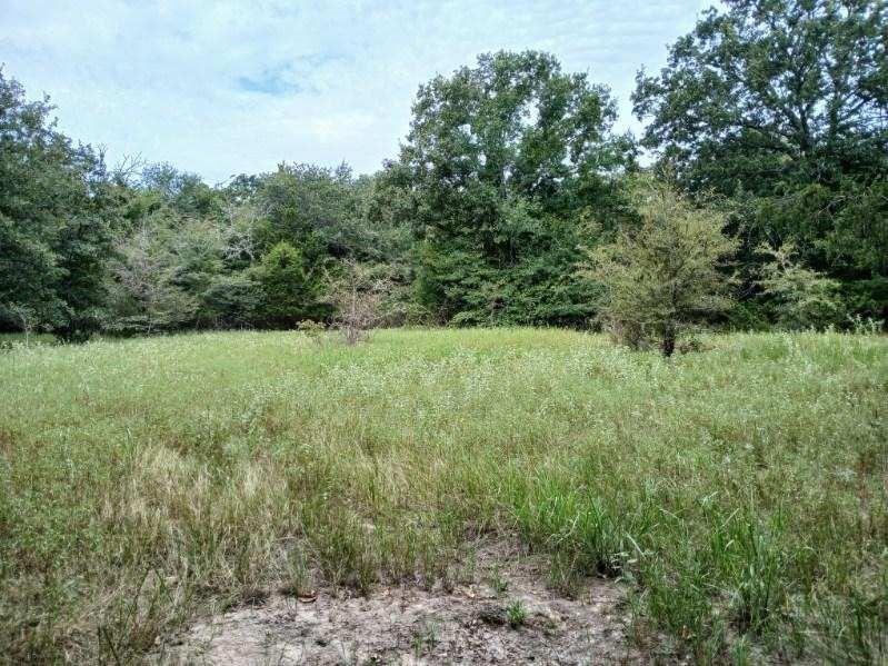 L J Crook Surv A-185 - Land