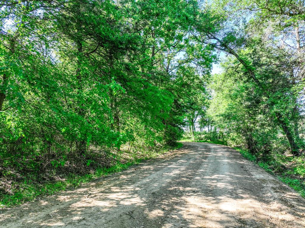 L J Crook Surv A-185 - Land