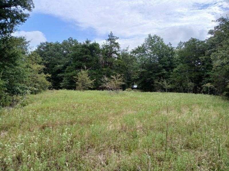 L J Crook Surv A-185 - Land