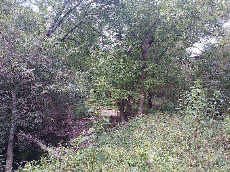 L J Crook Surv A-185 - Land