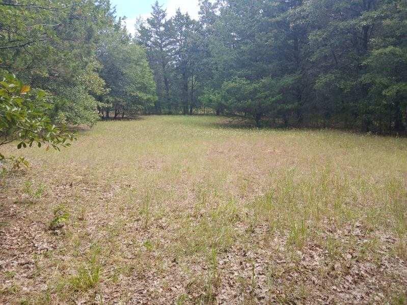 L J Crook Surv A-185 - Land