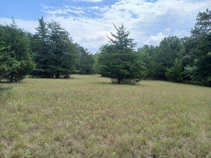 L J Crook Surv A-185 - Land