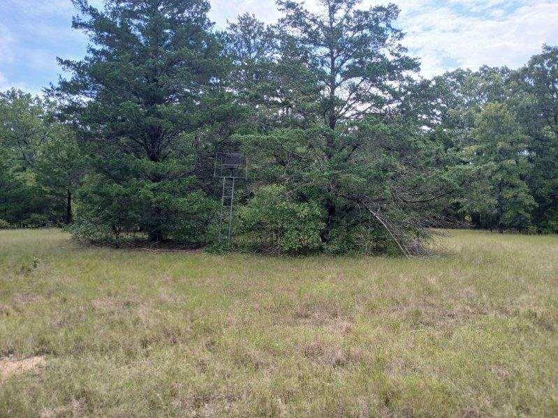 L J Crook Surv A-185 - Land