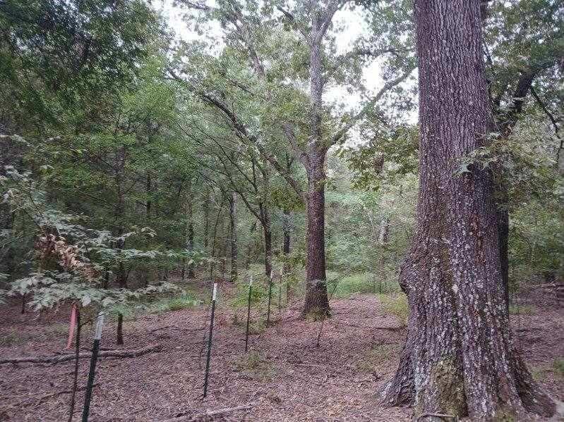 L J Crook Surv A-185 - Land