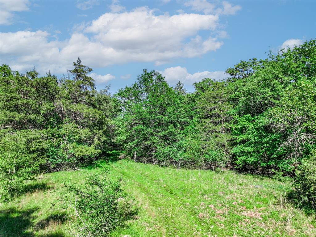 L J Crook Surv A-185 - Land