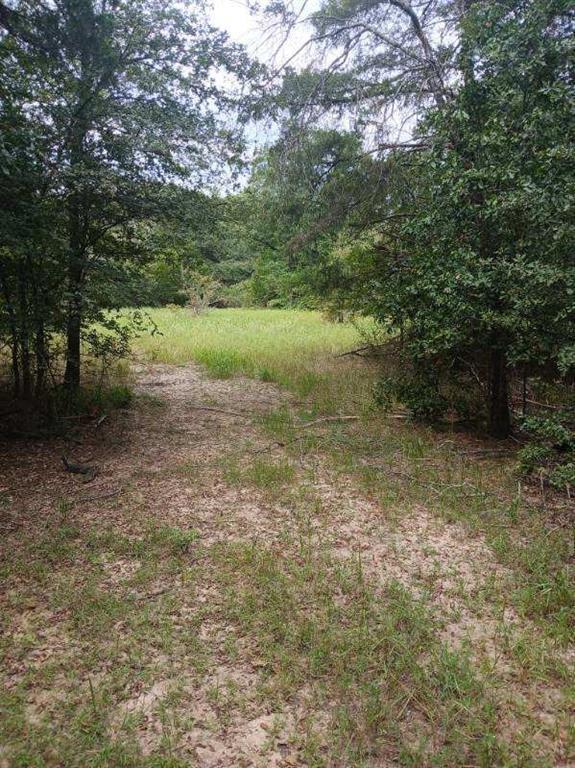 L J Crook Surv A-185 - Land