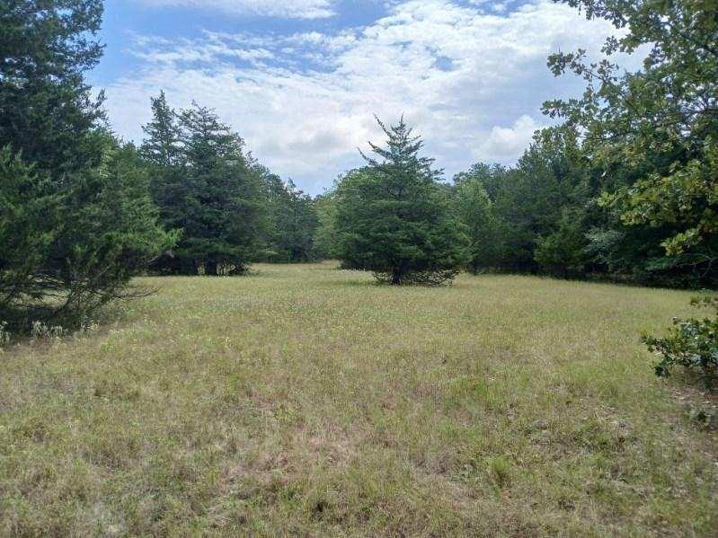 L J Crook Surv A-185 - Land