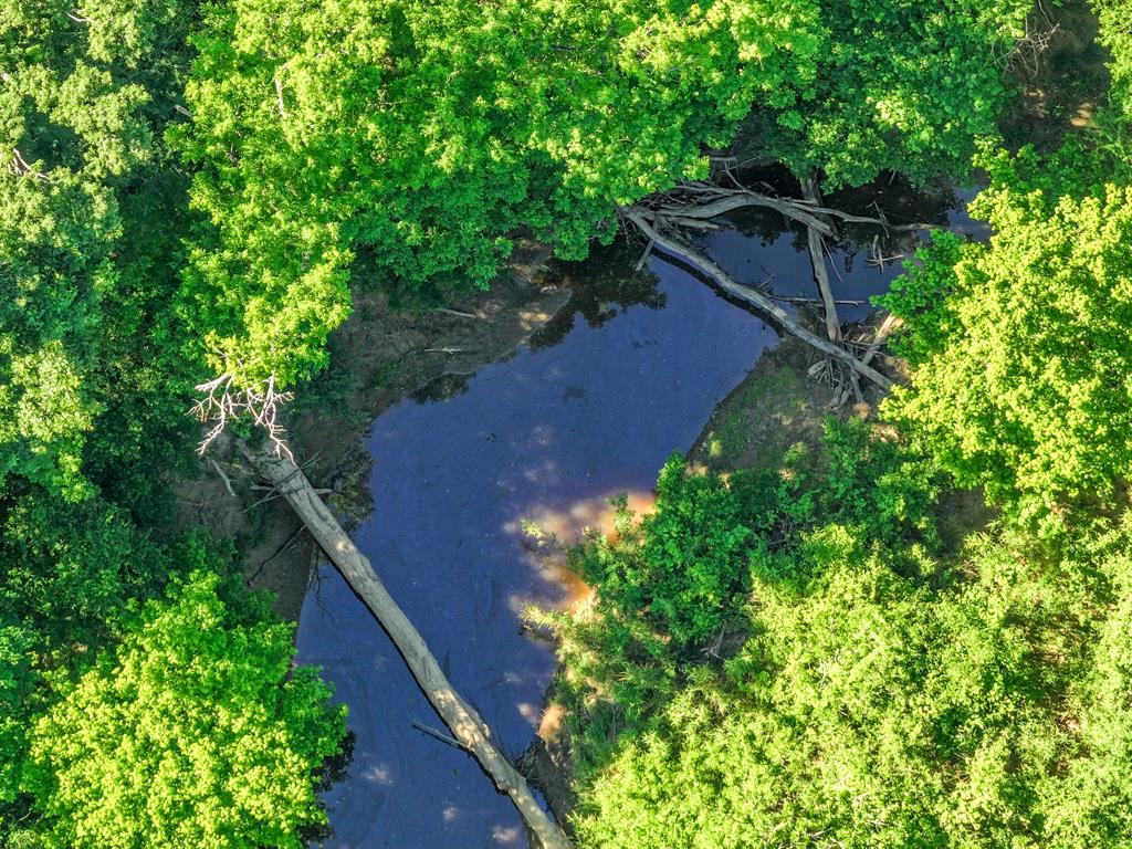 L J Crook Surv A-185 - Land