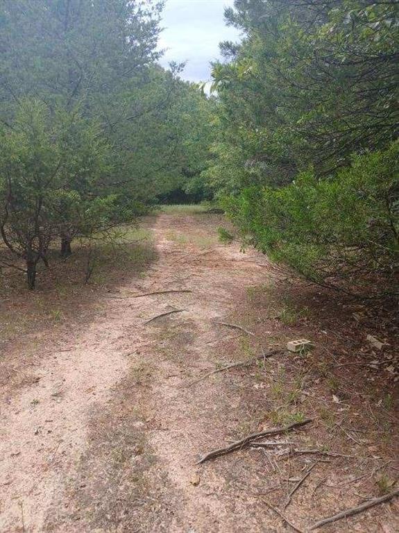 L J Crook Surv A-185 - Land