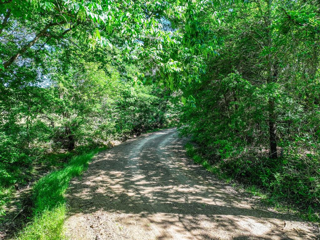 L J Crook Surv A-185 - Land