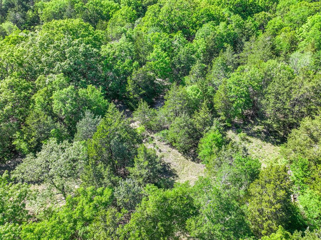 L J Crook Surv A-185 - Land