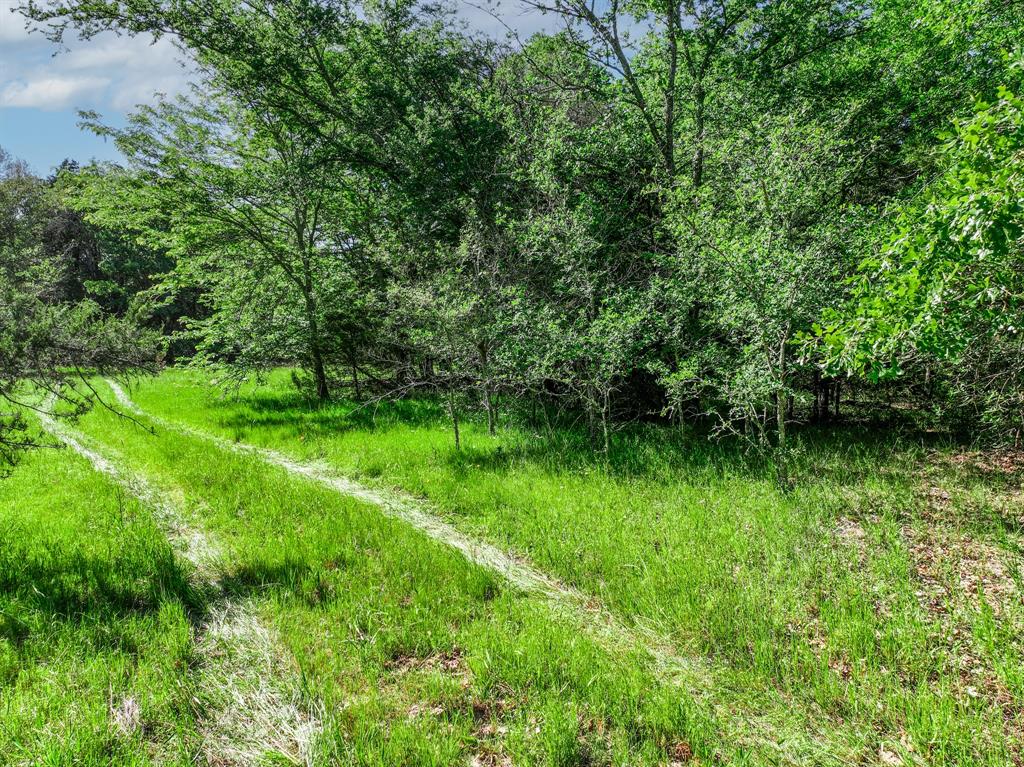 L J Crook Surv A-185 - Land