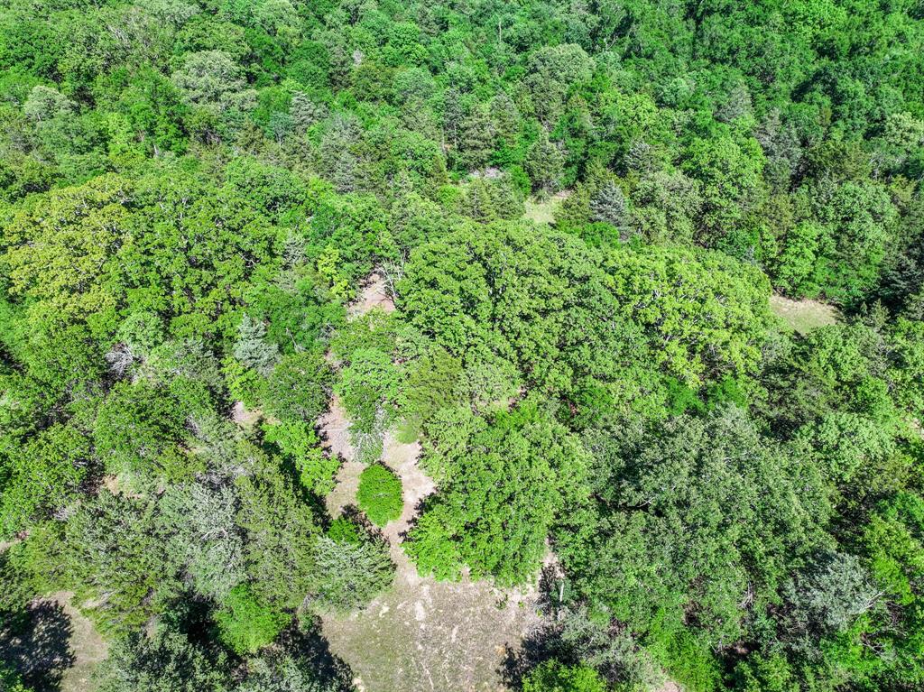 L J Crook Surv A-185 - Land