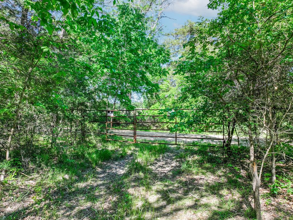 TBD County Road 4700
