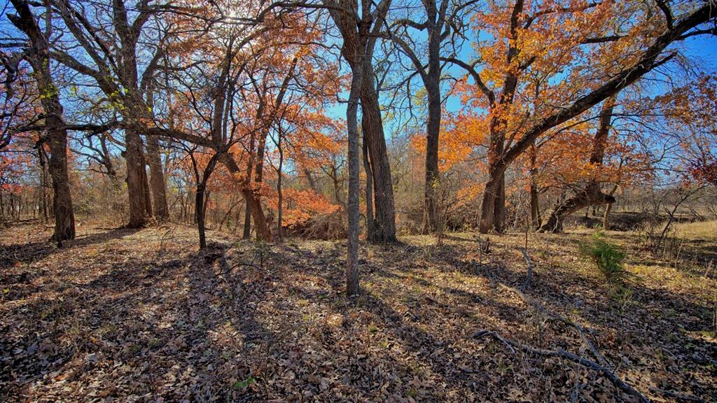 AB 3 ANGELINA CSL BLK 111 FREY UND 13 INT IN - Farm