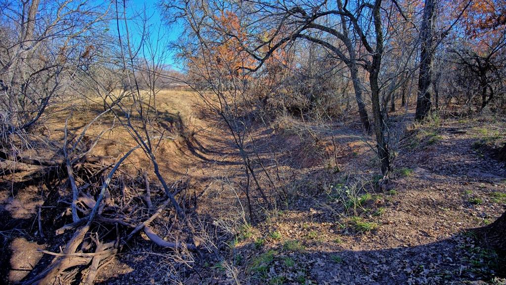 AB 3 ANGELINA CSL BLK 111 FREY UND 13 INT IN - Farm