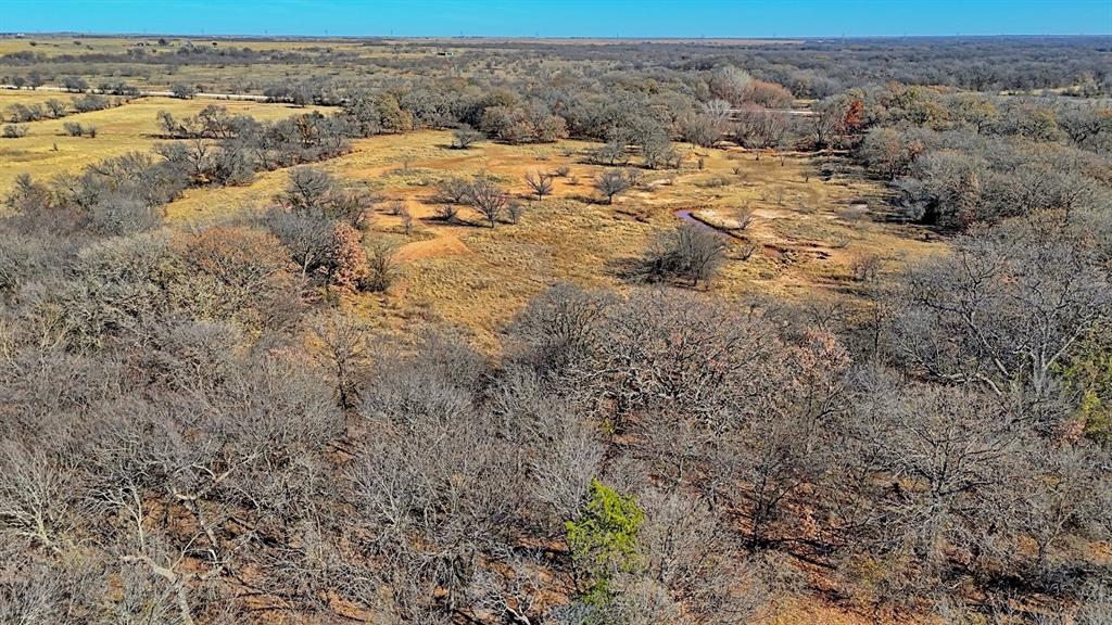 AB 3 ANGELINA CSL BLK 111 FREY UND 13 INT IN - Farm