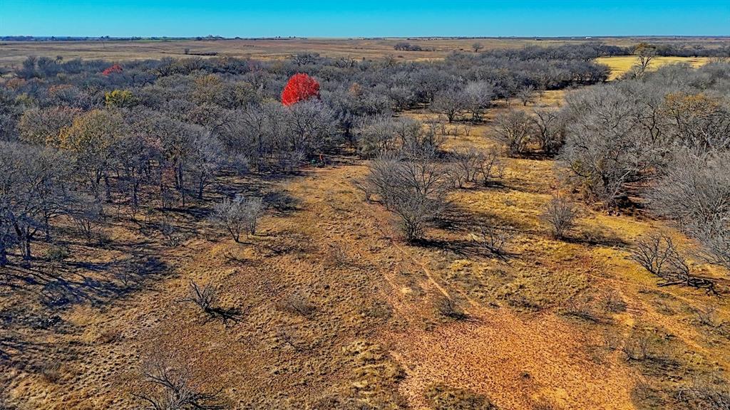 AB 3 ANGELINA CSL BLK 111 FREY UND 13 INT IN - Farm